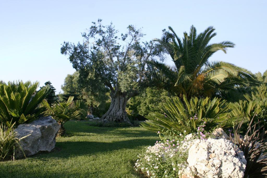 Pozzillo San Rocco Bed and Breakfast Arnesano Εξωτερικό φωτογραφία